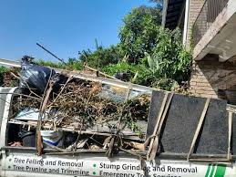 Best Dumpster Rental Services  in Evansville, WY